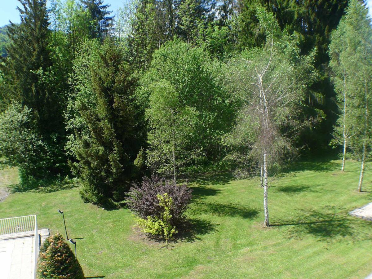 Appartement Confortable Avec Piscines, Terrasse Et Parking A Samoens - Fr-1-629-100 Buitenkant foto